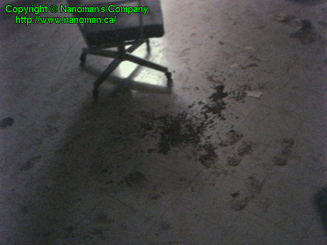 What is That? What is That?