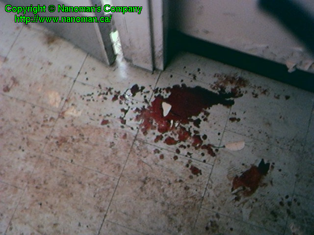 WHAT IS THAT?! WHAT IS THAT?!